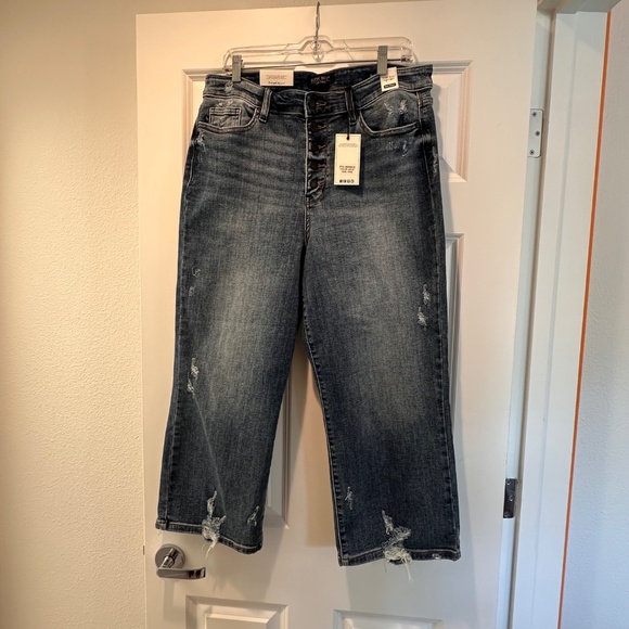 Judy Blue High Waist Destroy Button Fly Wide Leg Crop - Picture 5 of 8